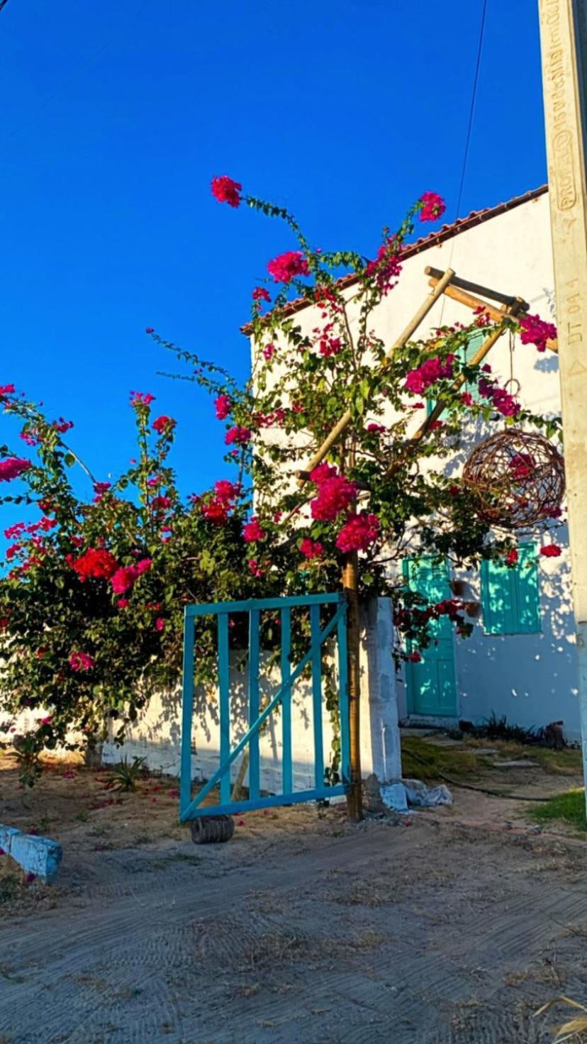 Pousada Casa Verde Canoa Quebrada Eksteriør billede